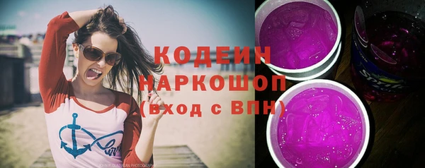 хмурый Богородск