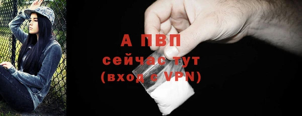 ГАЛЛЮЦИНОГЕННЫЕ ГРИБЫ Приозерск