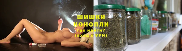 хмурый Богородск