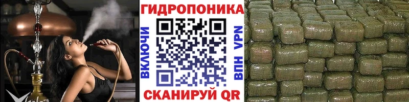 Бошки Шишки индика  блэк спрут ONION  Трёхгорный 